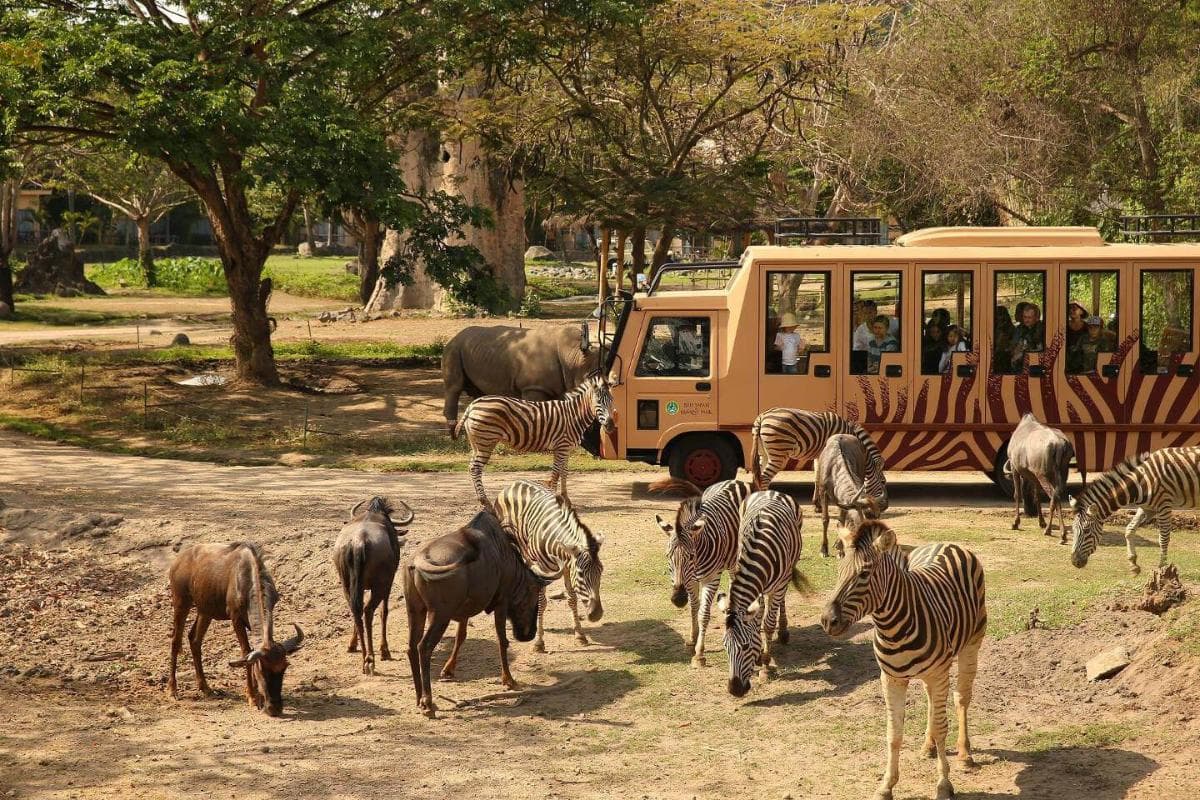 Bali Safari
