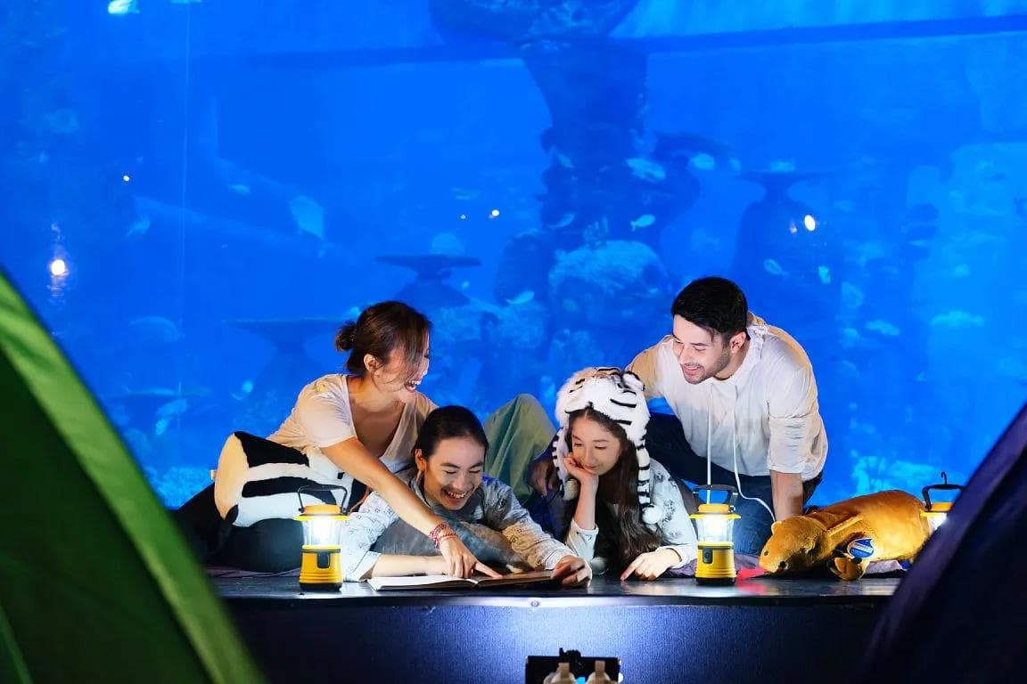 Jakarta Aquarium Safari